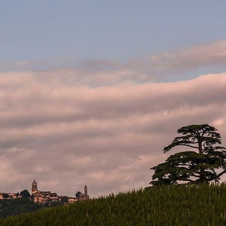 Villa Goccia Di Vino La Morra Exterior foto