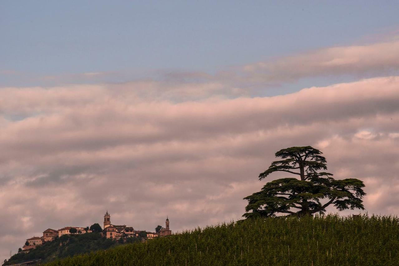 Villa Goccia Di Vino La Morra Exterior foto